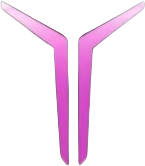Legion